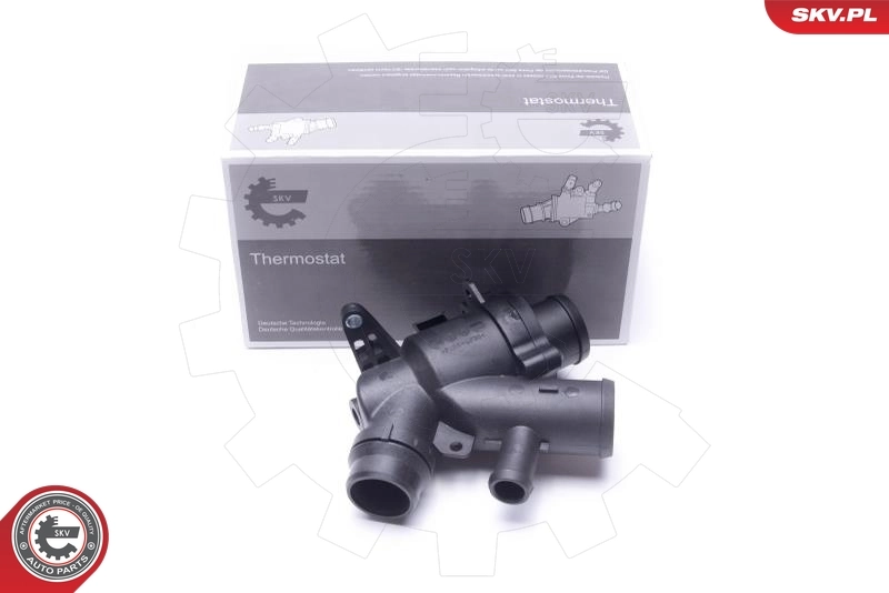 Thermostat, coolant